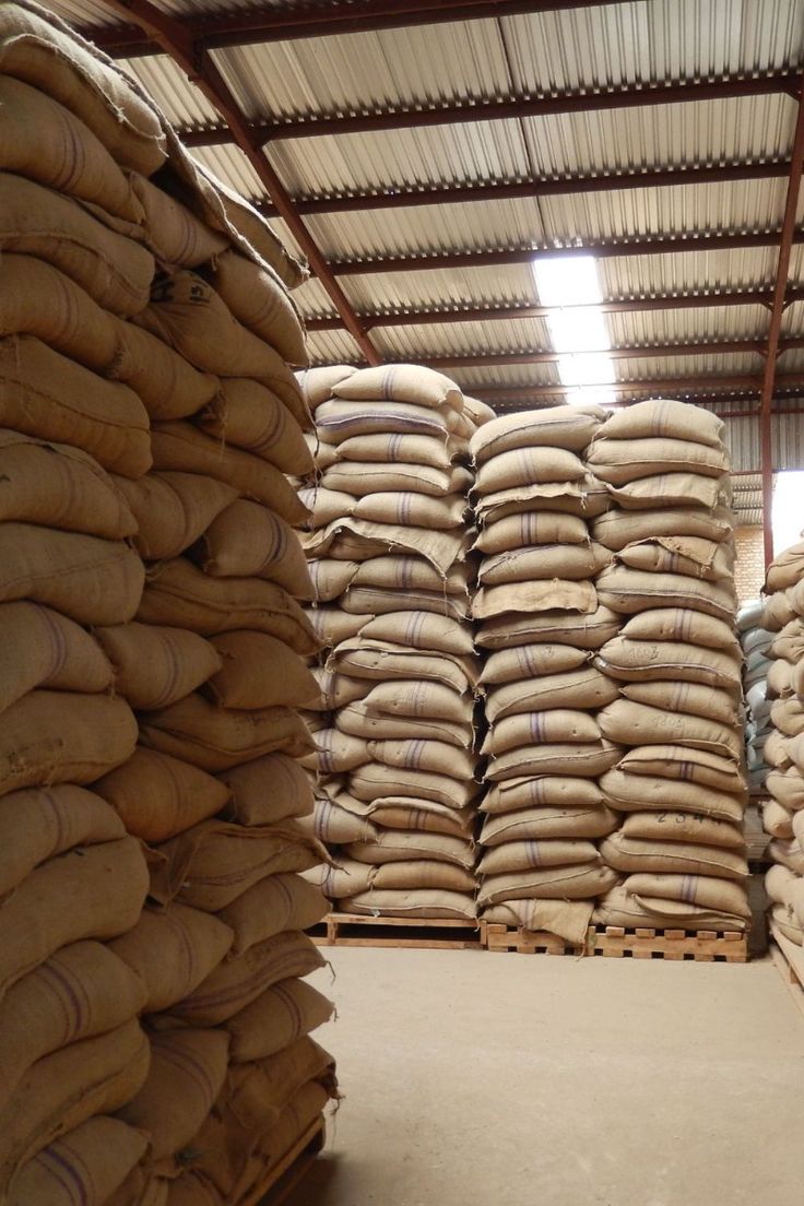 Réseau international